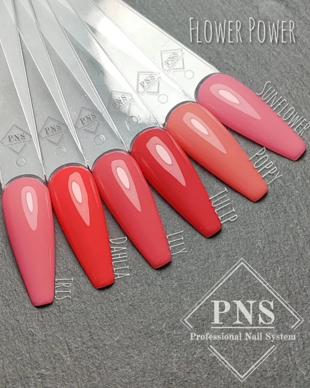 PNS My Little Polish Tulip